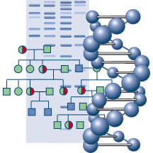 DNA Helix